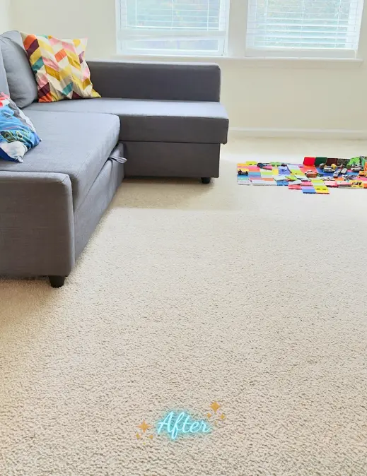 cleaning services jacksonville beach fl (1)